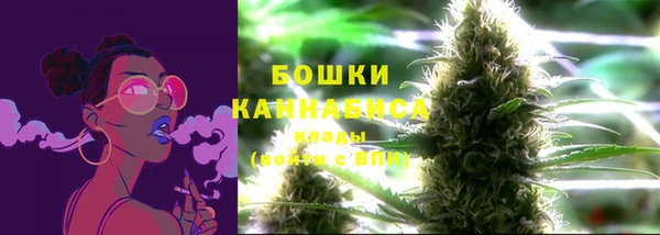 ALPHA PVP Покачи