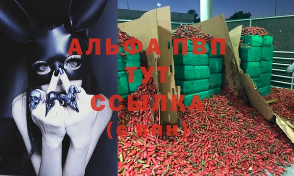 спайс Фёдоровский