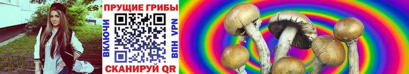 blacksprut как зайти купить закладку Балахна Псилоцибиновые грибы MAGIC MUSHROOMS